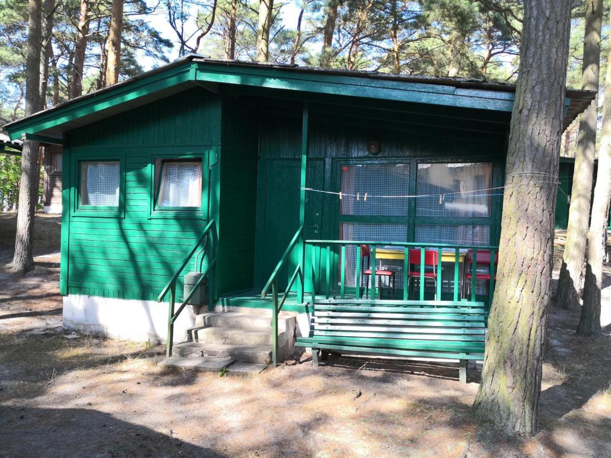 Lodger Letniskowe Delfin Mrzeżyno